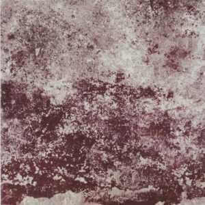 Dlažba Cir Molo Audace rosso d´amante 40x40 cm mat 1067984