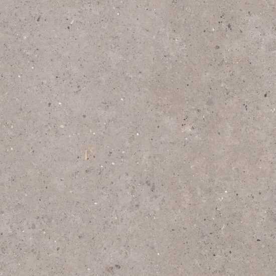 Dlažba Pastorelli Biophilic grey 120x120 cm mat P009411